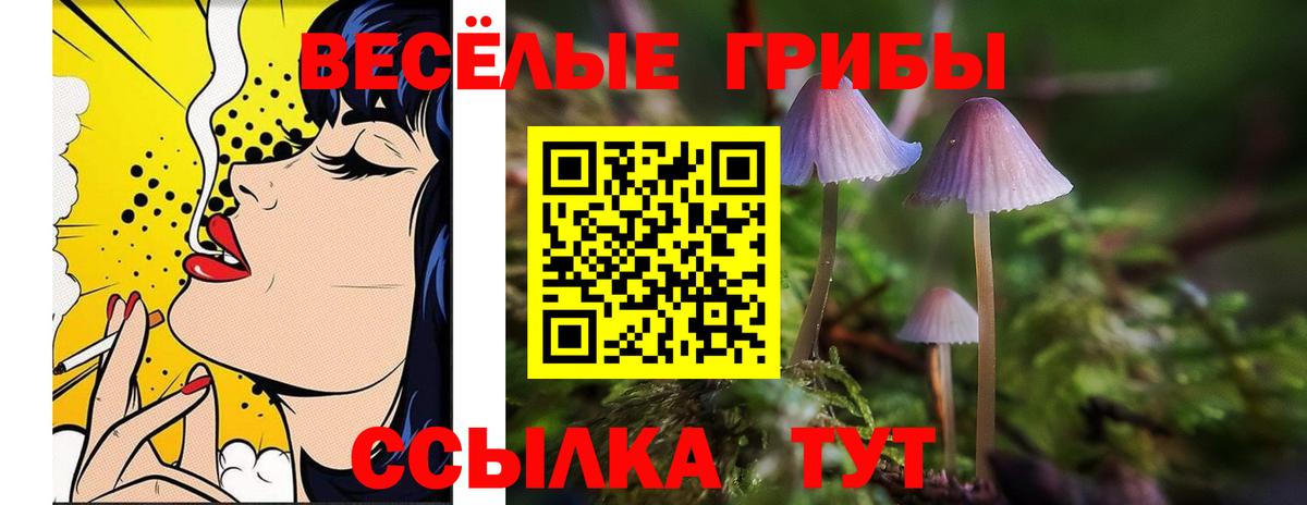 Псилоцибиновые грибы ЛСД Севастополь